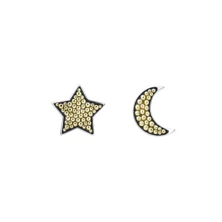 Moon and Star Stud Earrings