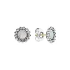 Mother of Pearl Circle Stud Earrings