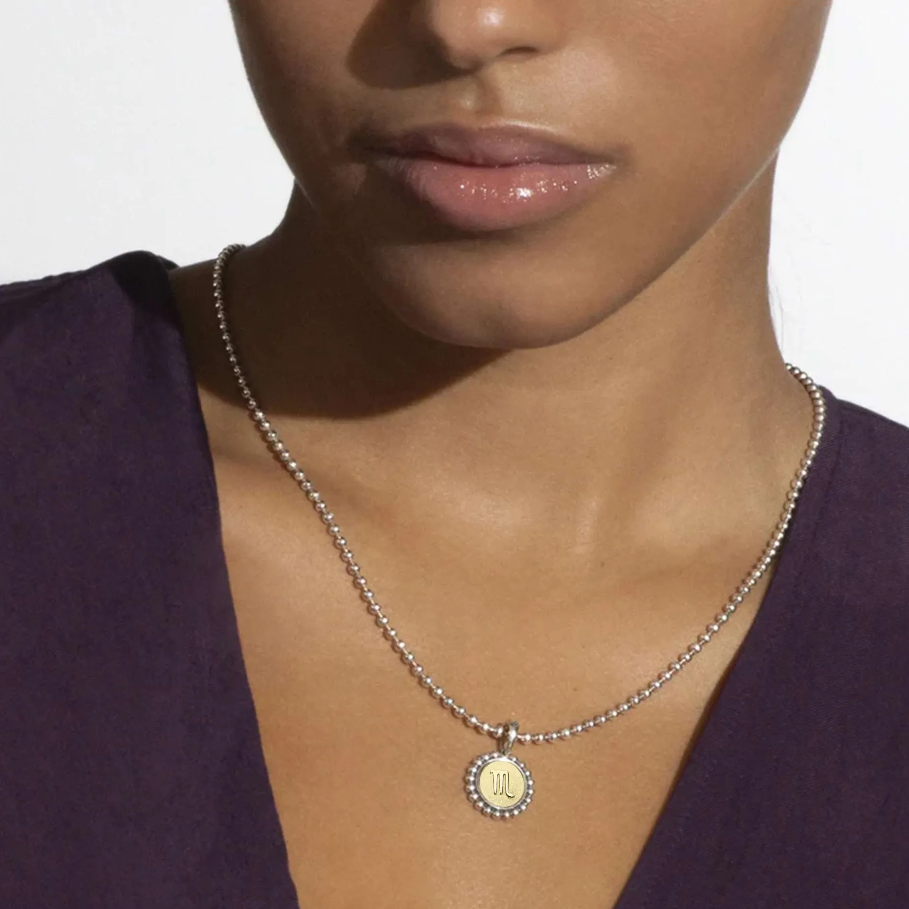 Scorpio Zodiac Charm Necklace