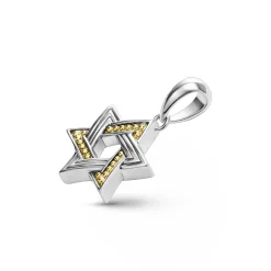 Small Two-Tone Star of David Amulet