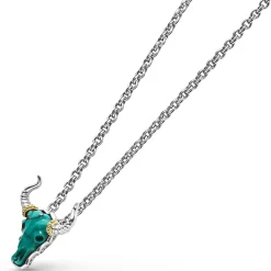 Turquoise Long Horn Pendant