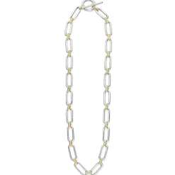 Two-Tone Link Necklace