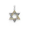 Two-Tone Star of David Amulet